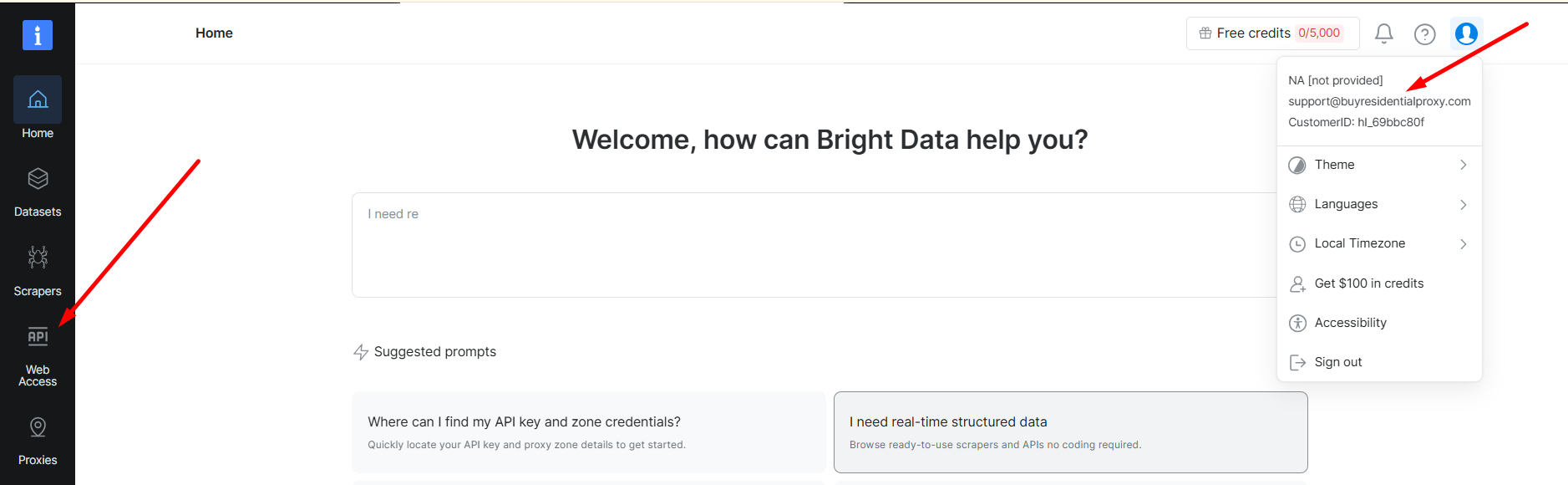 brightdata home page